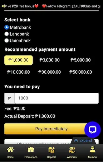 Step 2: Select the bank you want to make the payment to and enter the amount you want to pay. Then click "Pay Immediately".