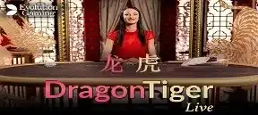 DRAGON TIGER